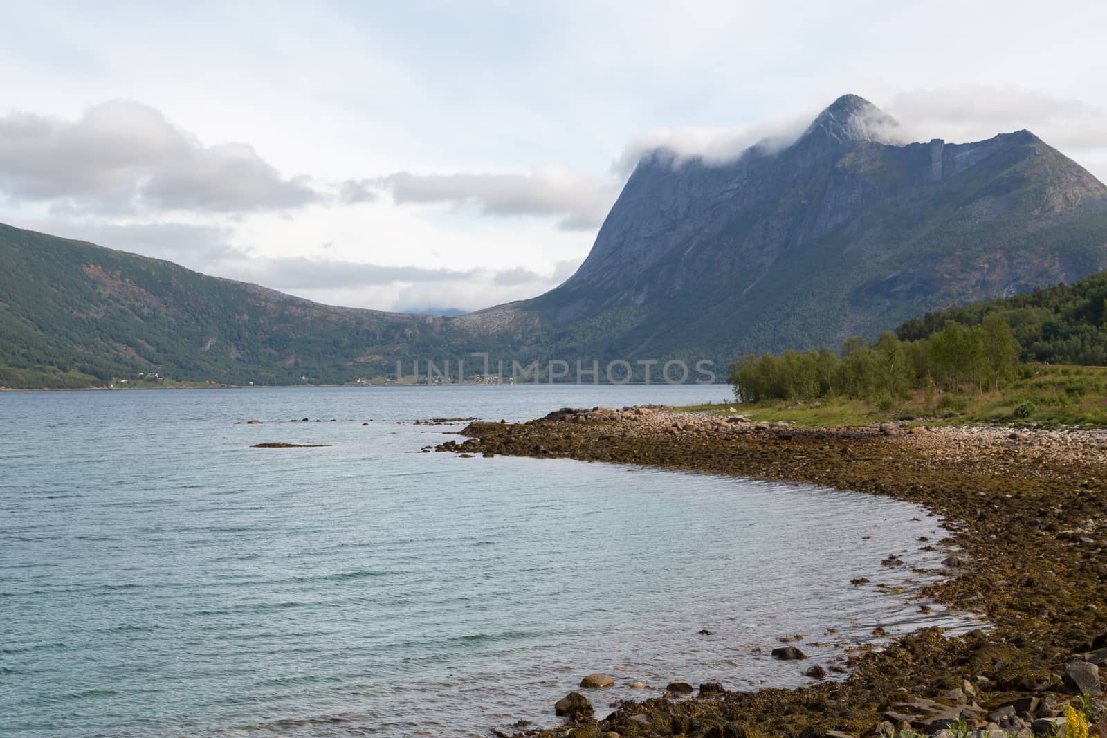 Picture of a fjord in norway