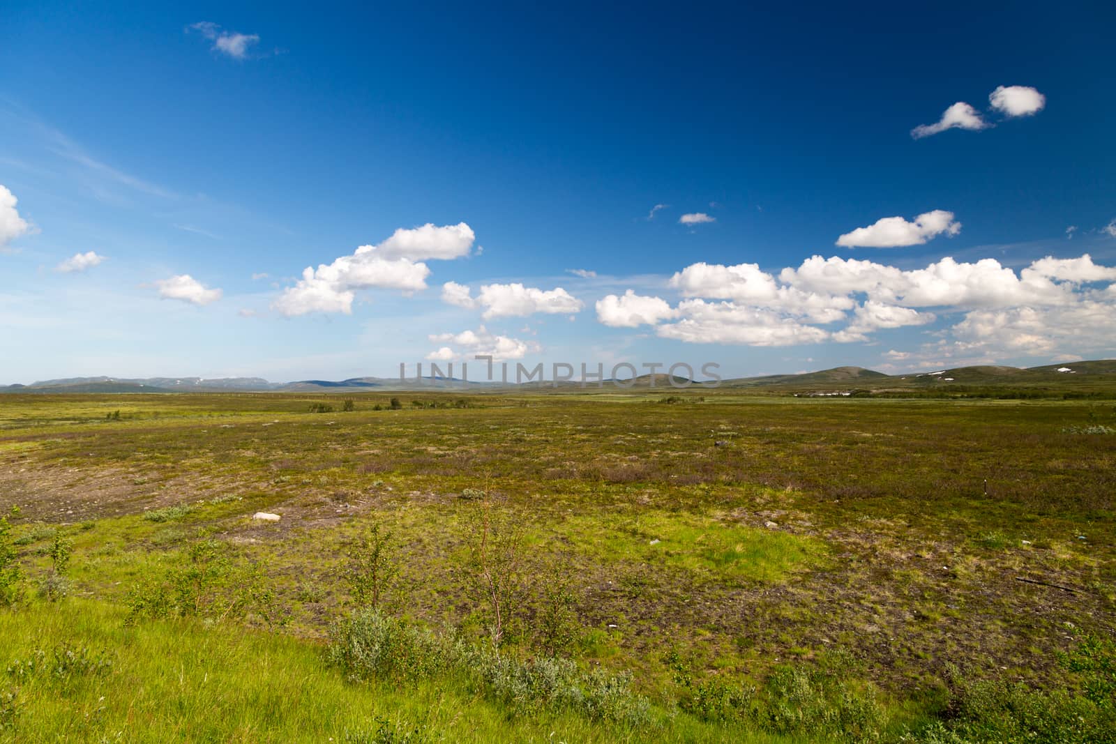 Picture of the finnmarksvidda in northern norway