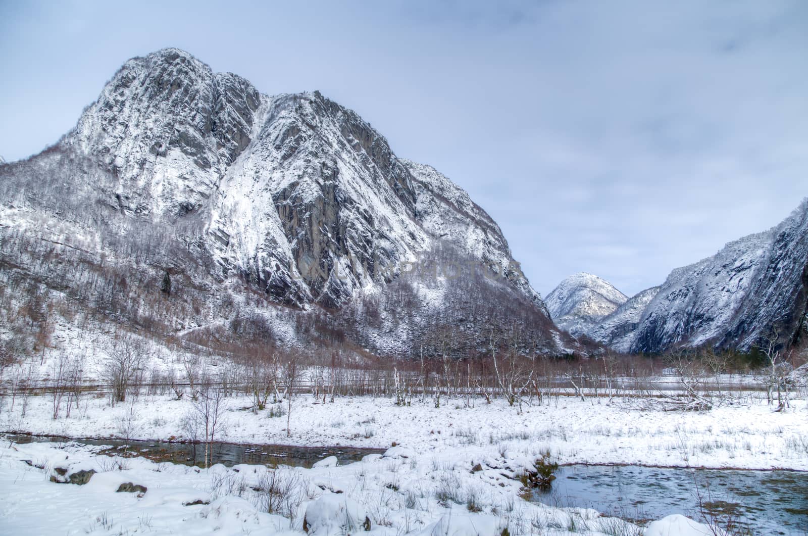 Picture of a snowy mountain with a small forest in front