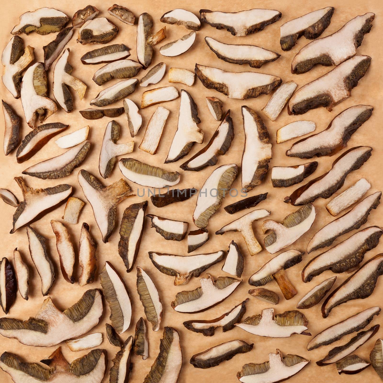 Dry mushrooms on baking paper, top view. Traditional seasonal mushroom picking. Natural gastronomy background. 