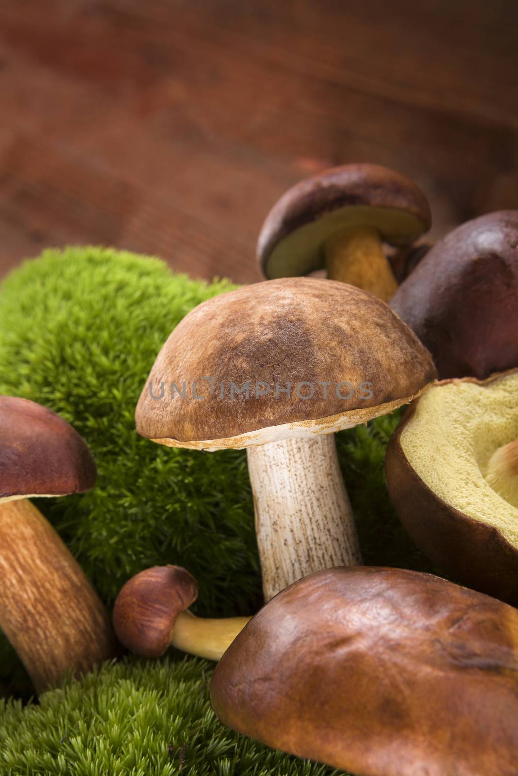 Fresh delicious mushrooms with moss on brown wooden background. Seasonal mushroom picking.