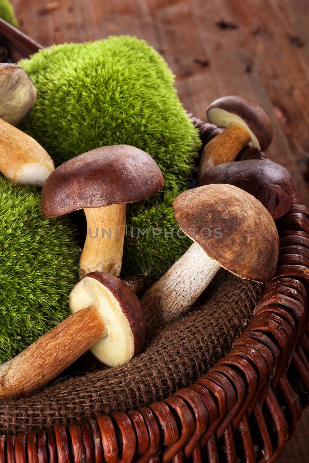 Fresh delicious mushrooms with moss in wooden basket on brown wooden background.Seasonal mushroom picking.
