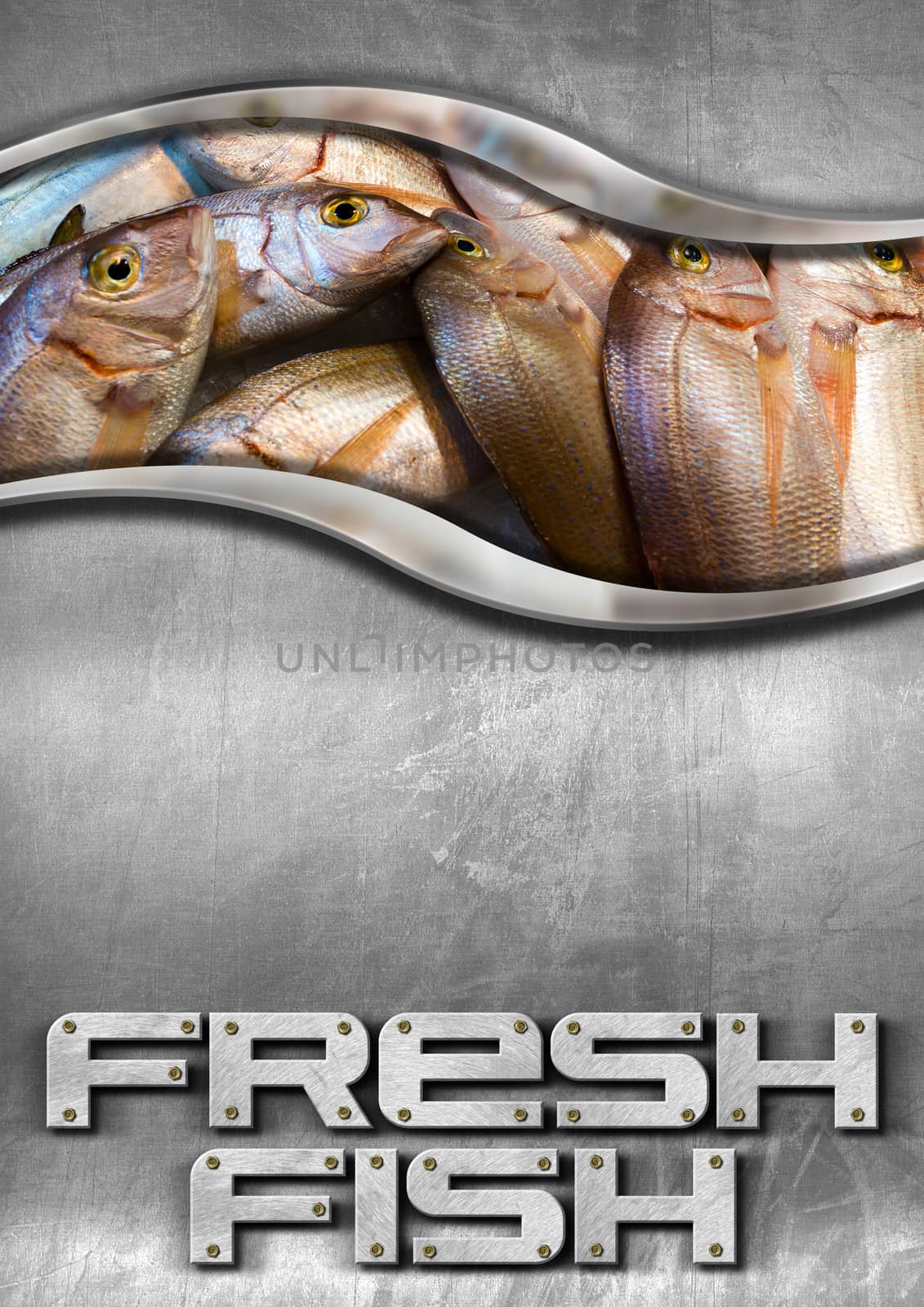 Steel background with frame and fresh fishes inside and metallic text.