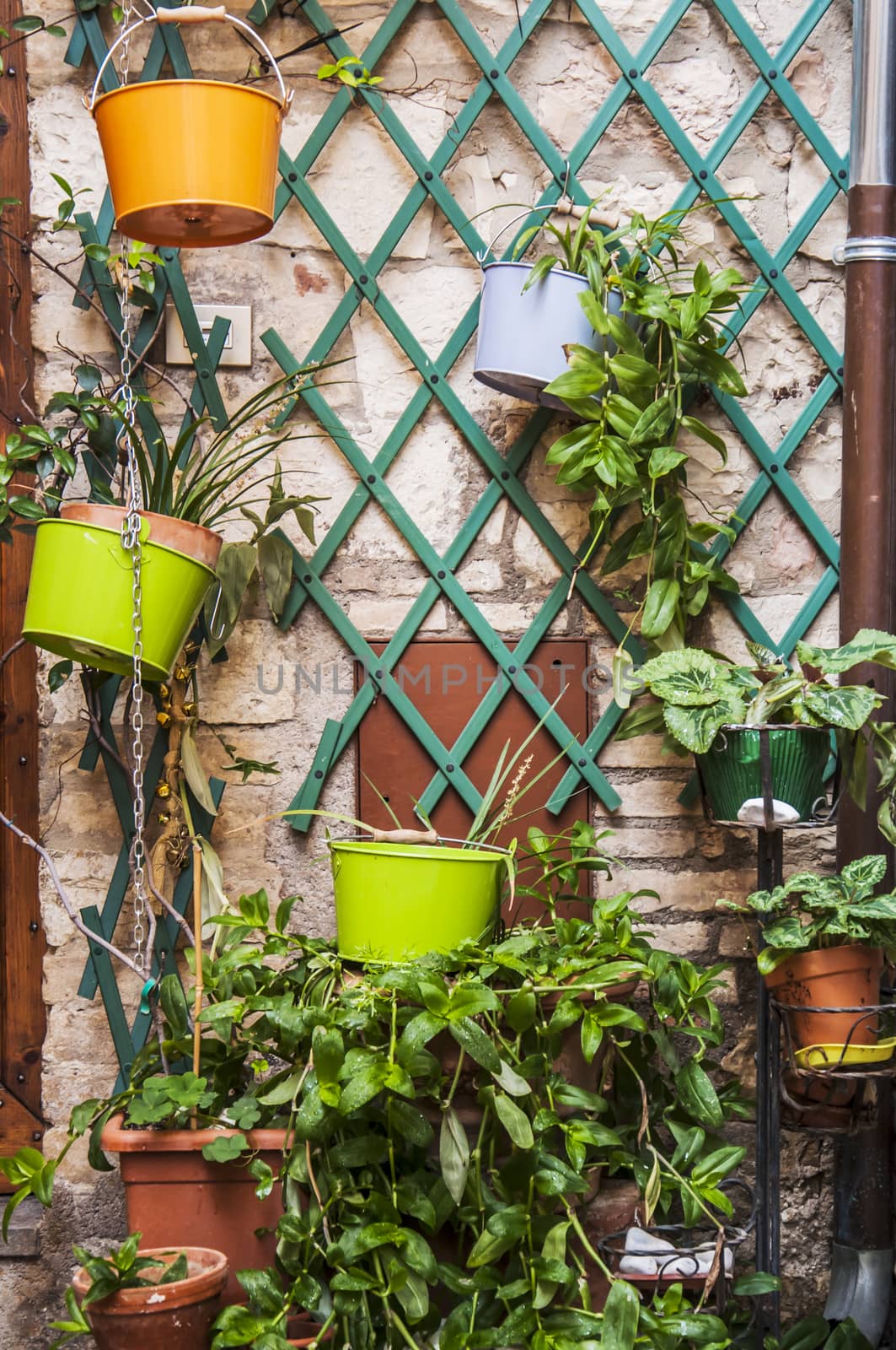 vases and plants outside of an italian home