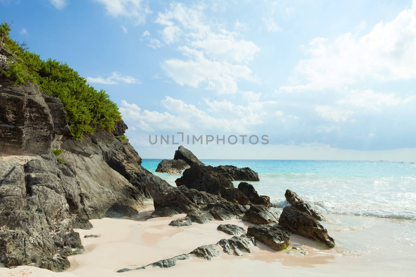 Horseshoe Bay Beach in Bermuda by graficallyminded