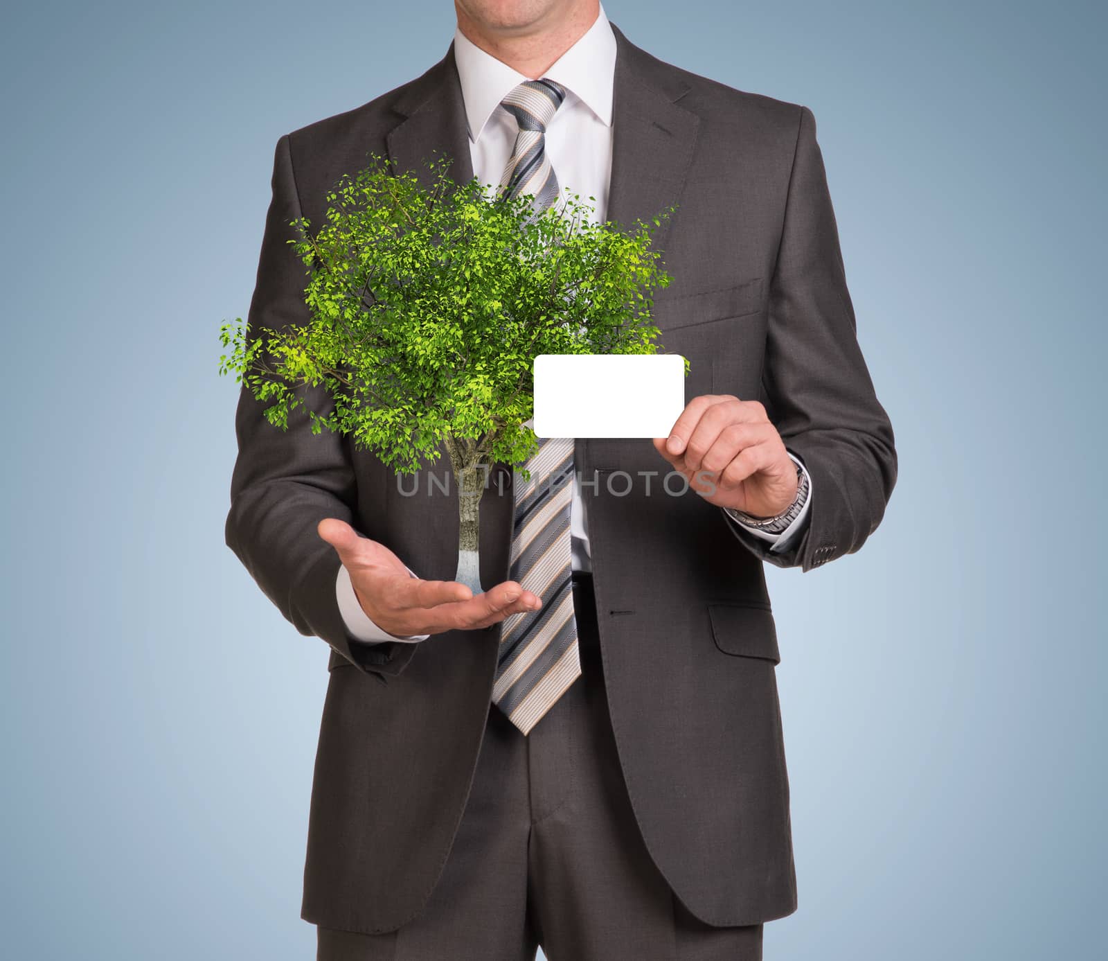 Businessman in suit hold empty card and green tree. Blue background