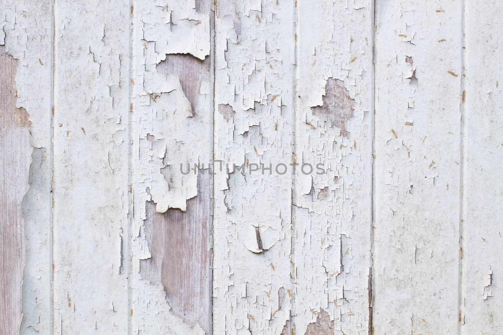 Vintage white background old scratched wood wall