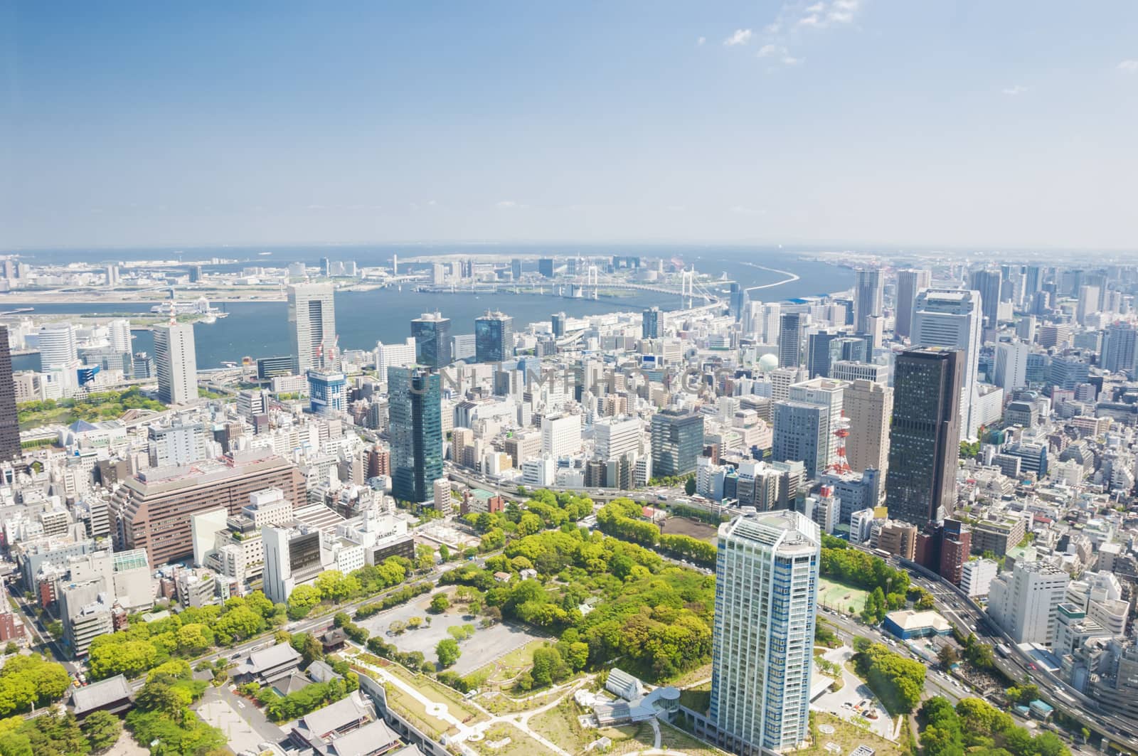 Aerial view of Tokyo city in daytime