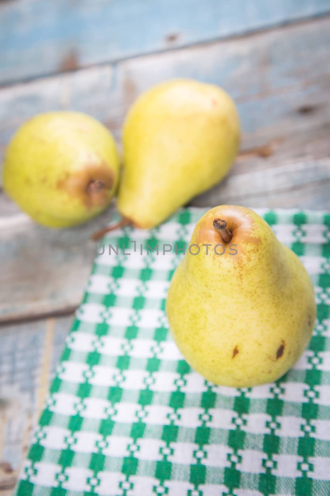 pears by pil76