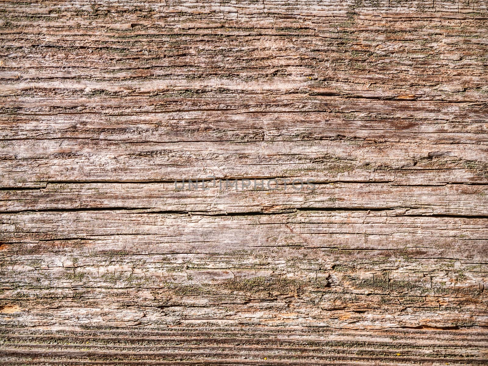 Old wooden texture by zeffss