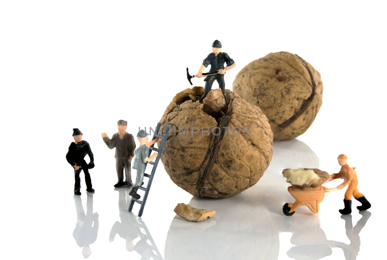 walnut under construction with people working together 