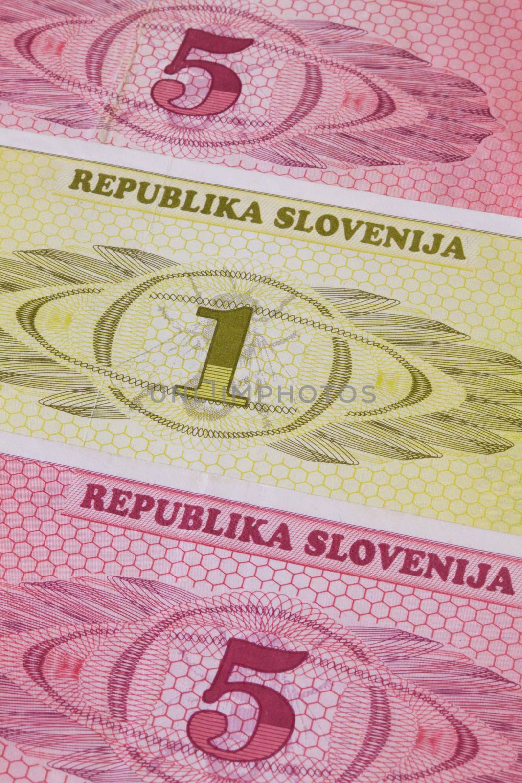 Different Tolar banknotes from Slovenia on the table by CaptureLight