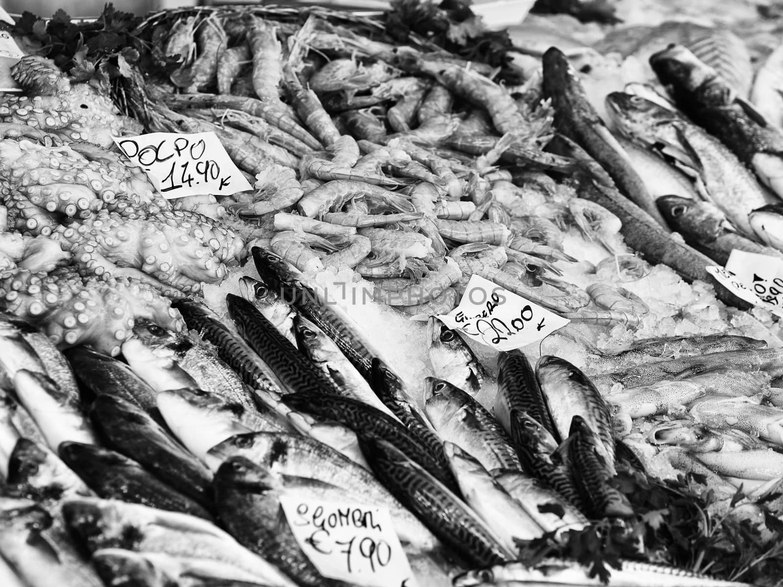 Black and White image of fresh fish and seafood on street market