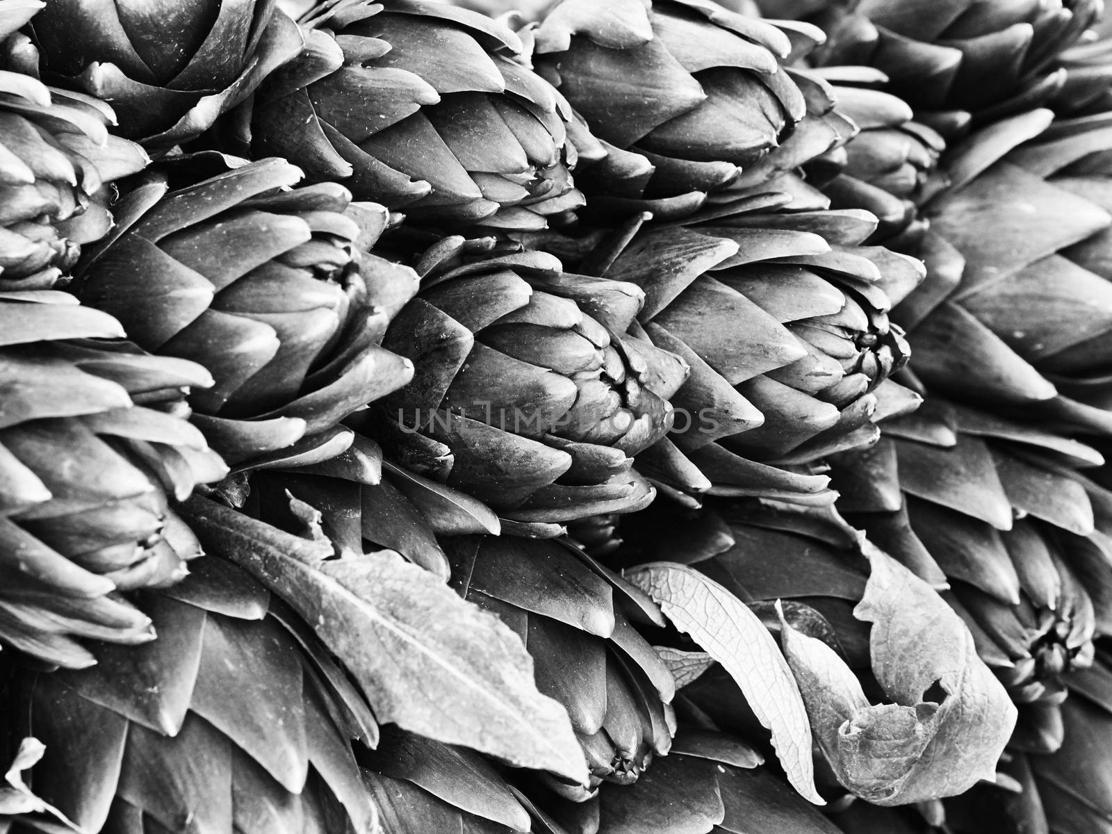 Black and White image of artichokes at street market