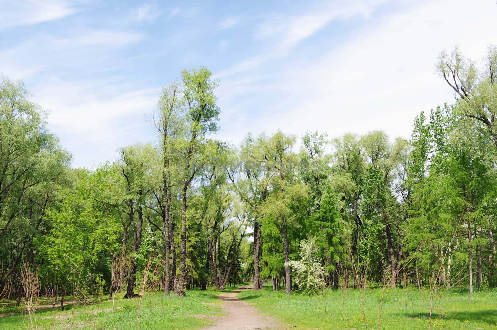 Spring in park Green Island, Omsk, Russia. by HGalina