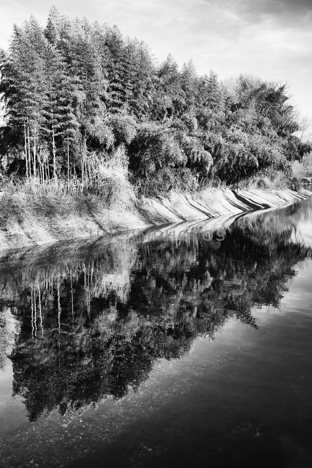 Black and White image of small pond with trees reflection on water