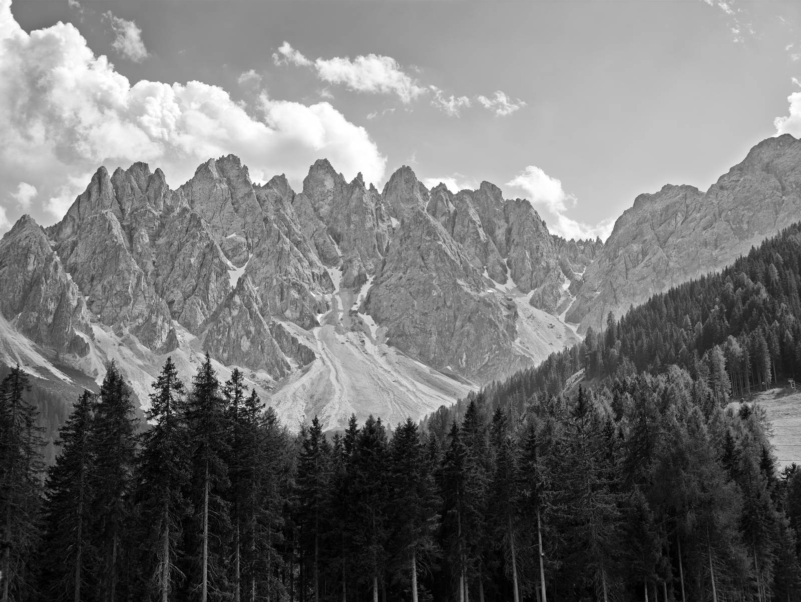 Black and White image of big mountains with trees