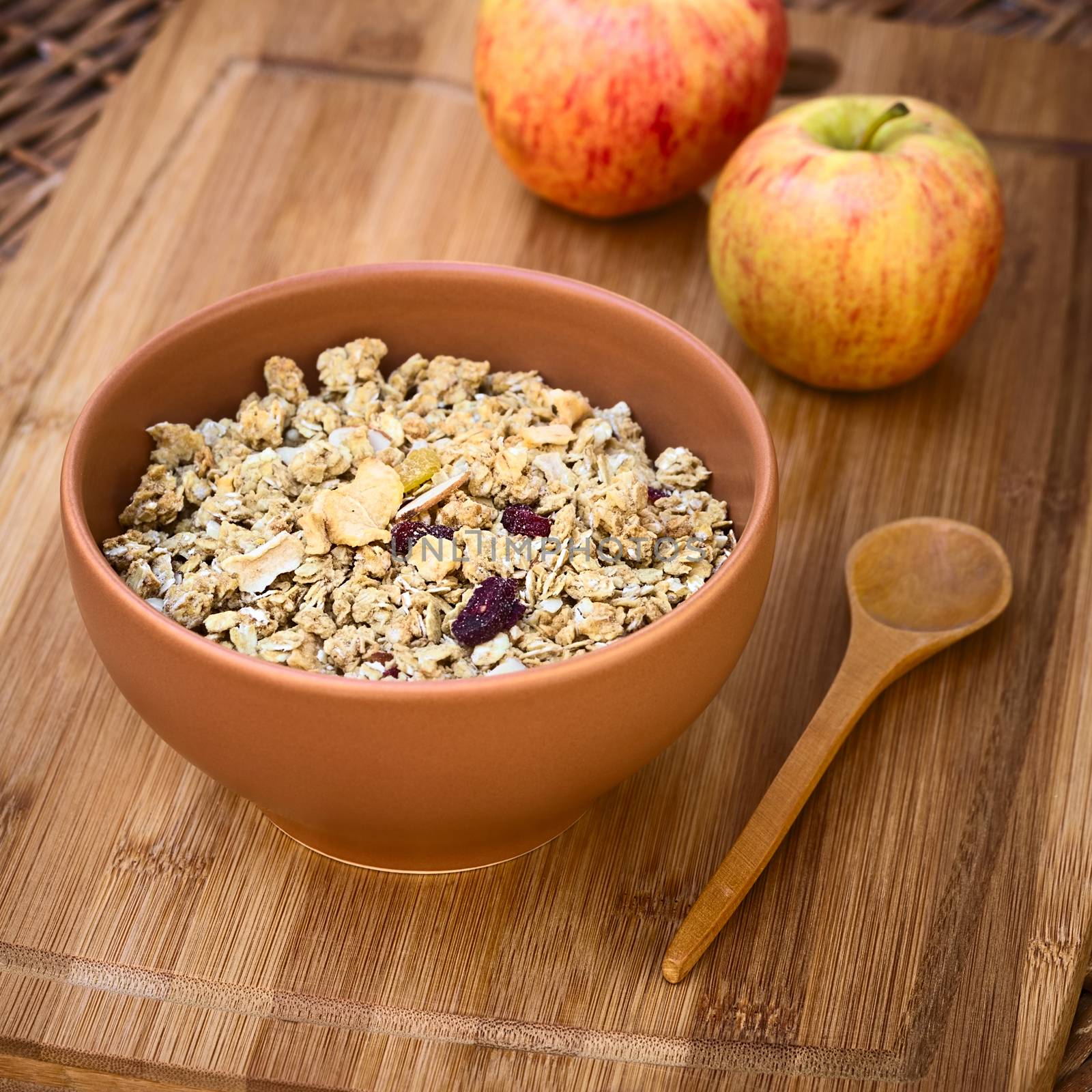 Bowl of healthy oatmeal cereal with almonds, dried apple and cranberries photographed with natural light (Selective Focus, Focus in the middle of the granola)