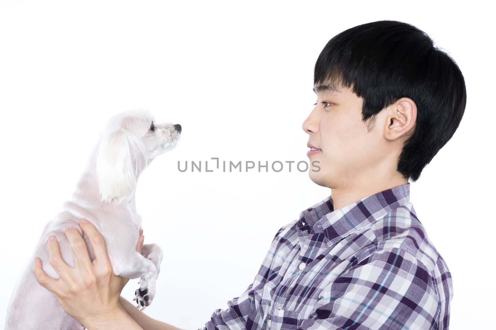 asian man studio portrait shot