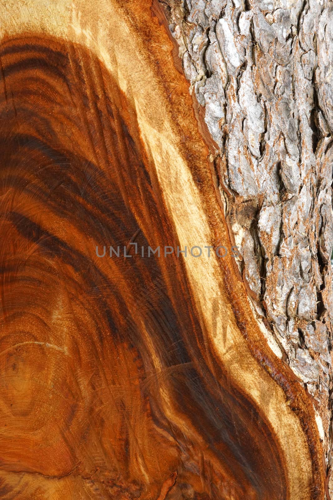 Patterns on the surface of the wood industry.