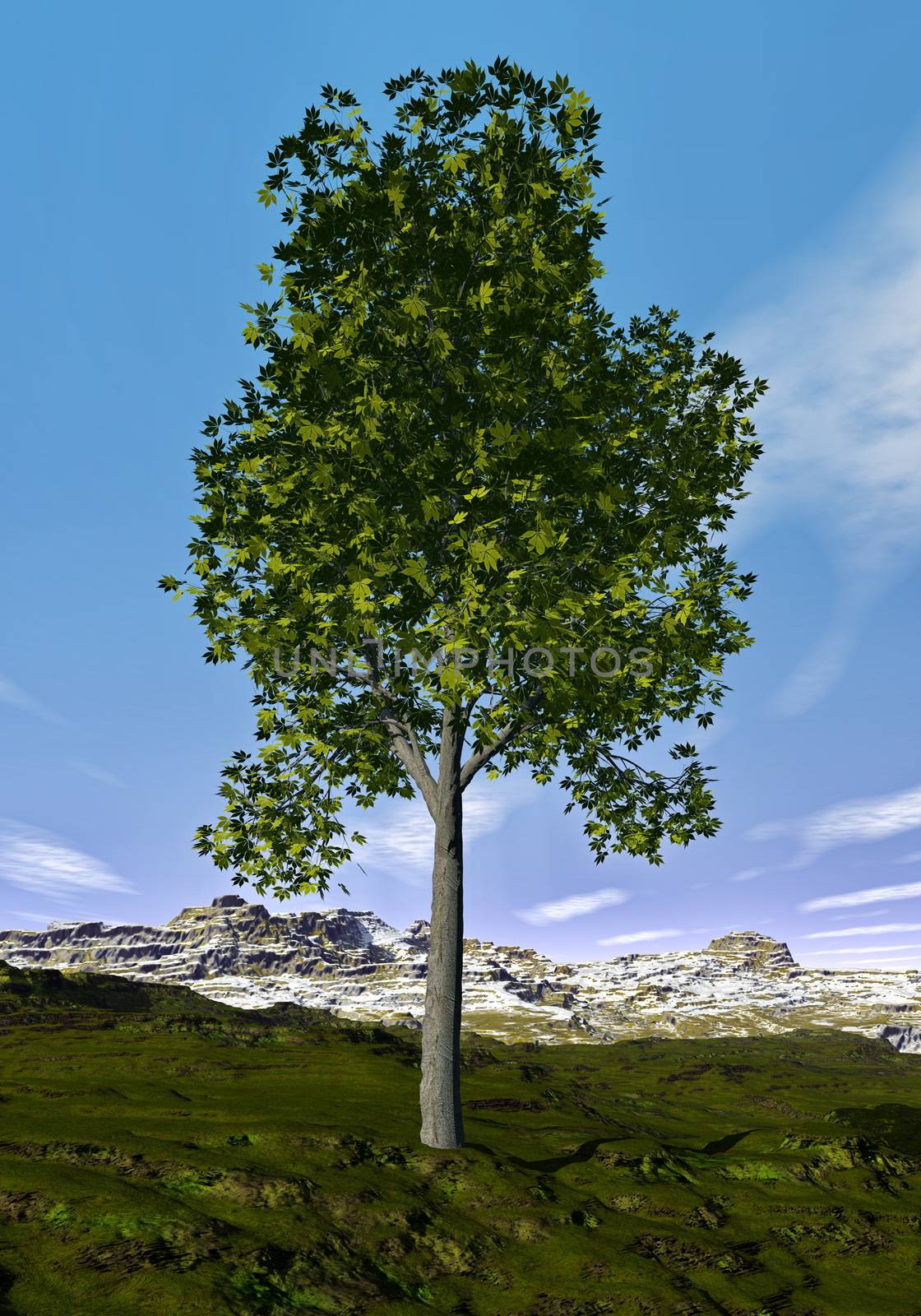 Ohio buckeye tree in the mountain by day - 3D render