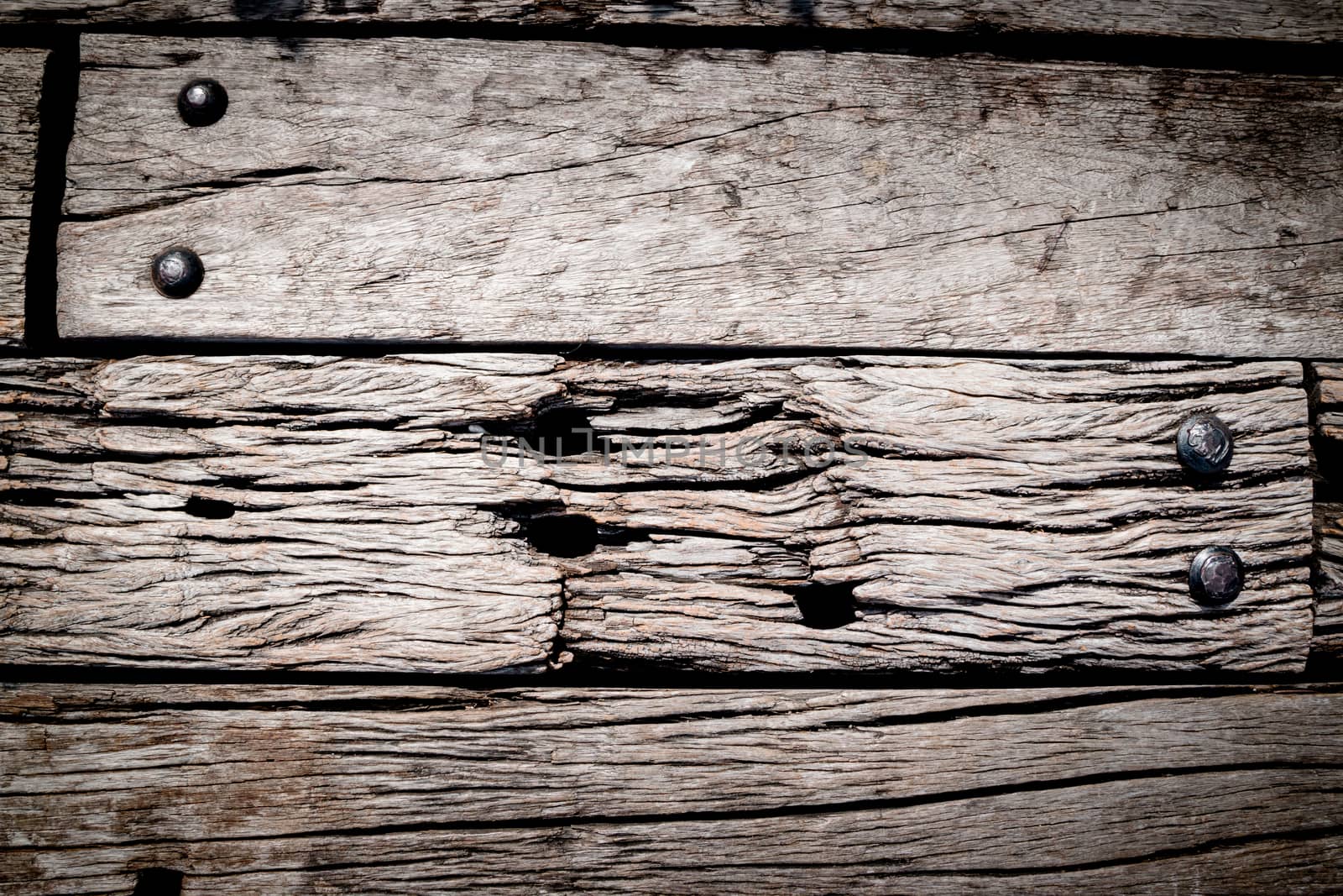 close up of wood texture use as natural background