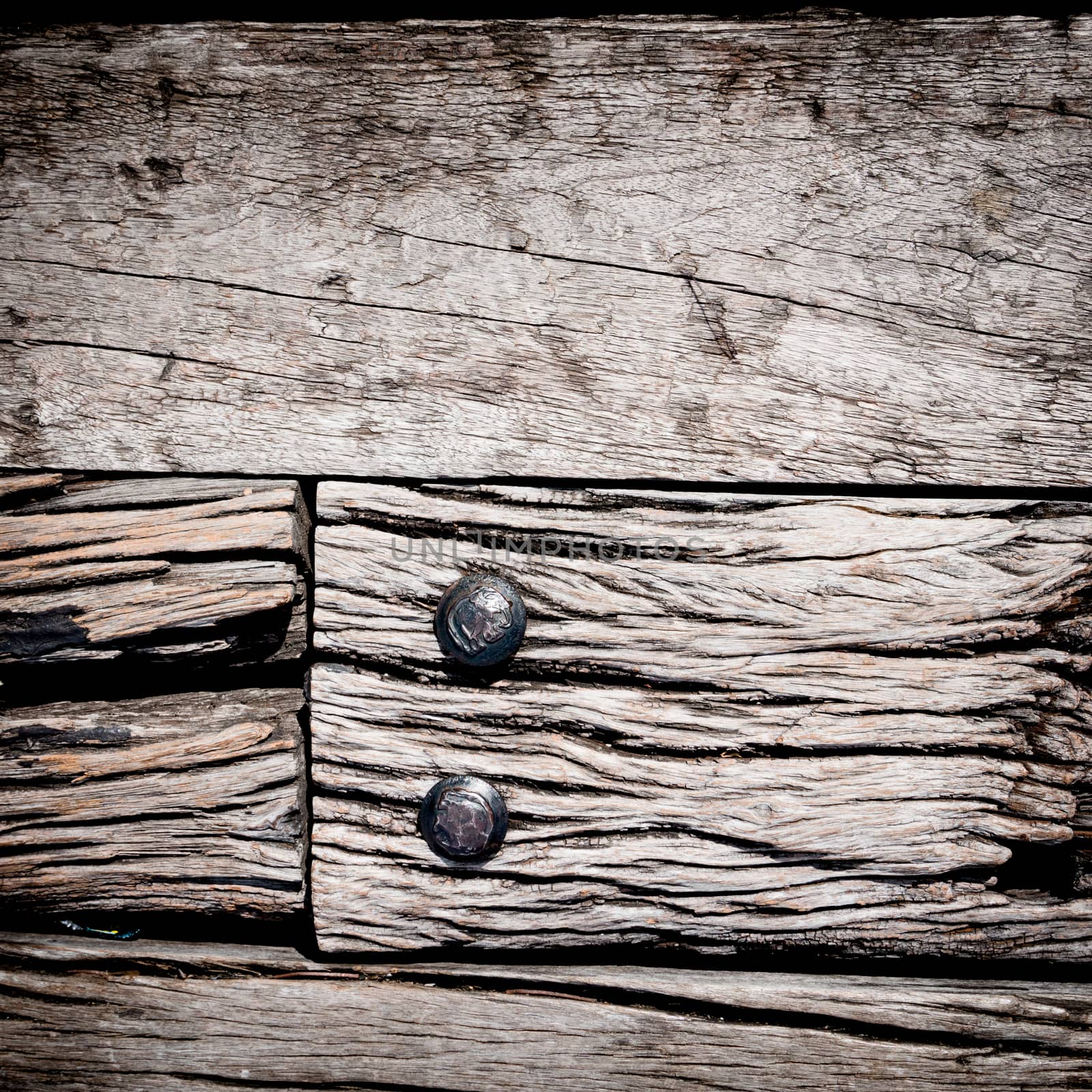 close up of wood texture use as natural background