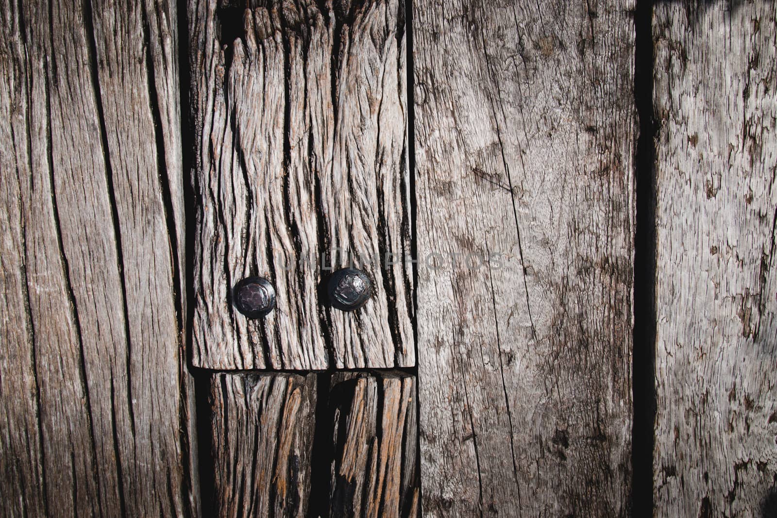 close up of wood texture use as natural background