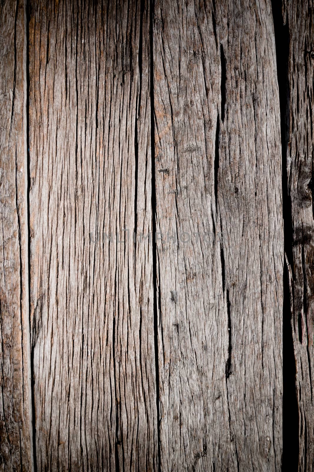 close up of wood texture use as natural background