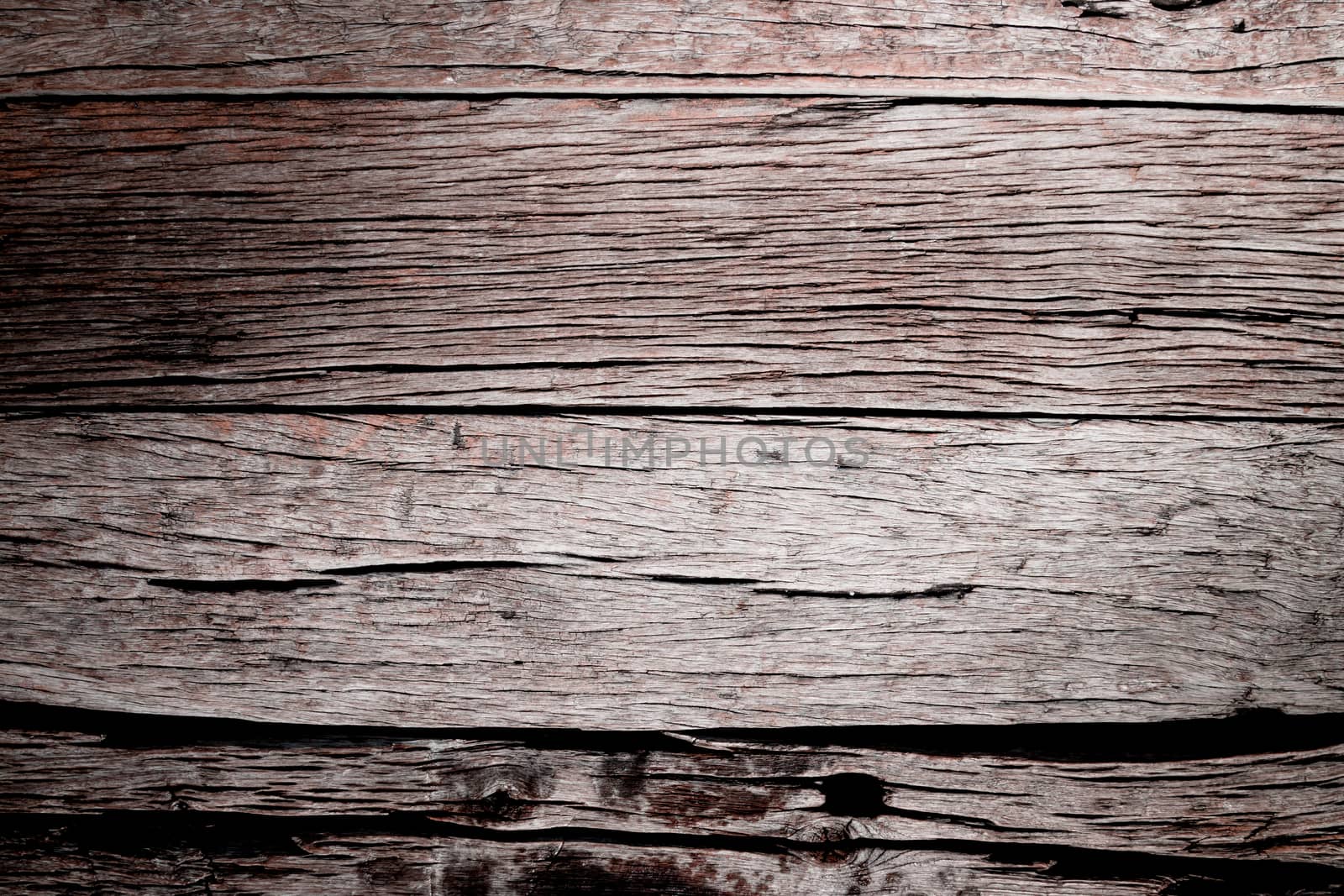 close up of wood texture use as natural background