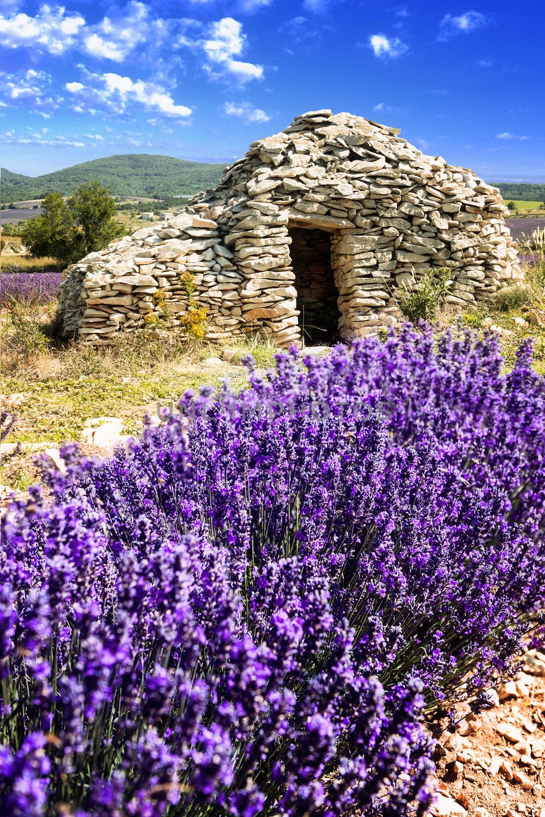 Dmall caban. Summer sunset in Provence, France. 