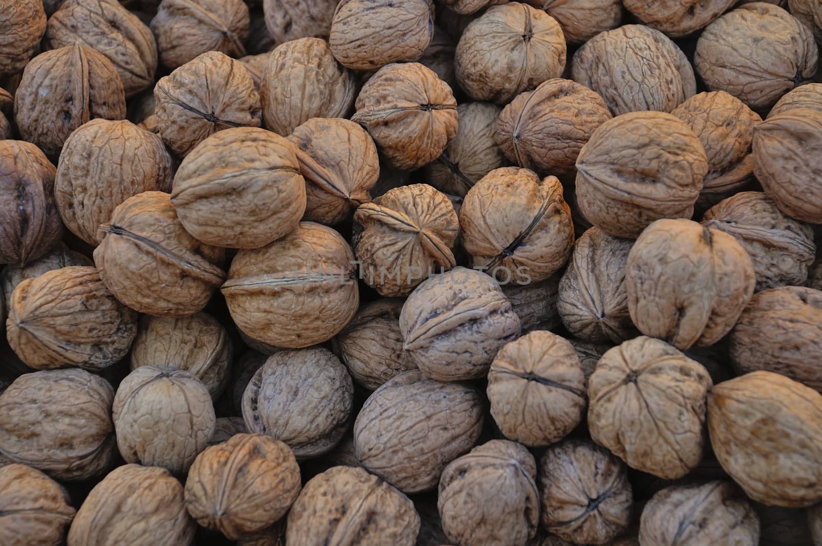 walnut 