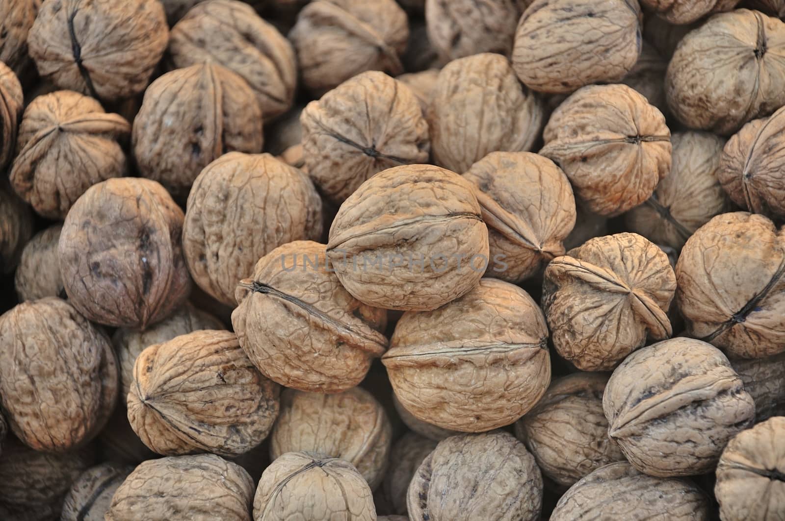 walnut 