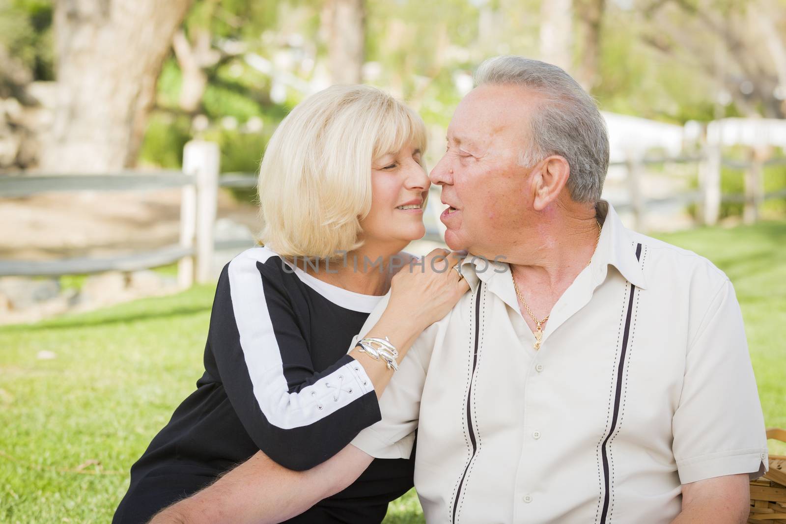 Affectionate Senior Couple Portrait At The Park by Feverpitched