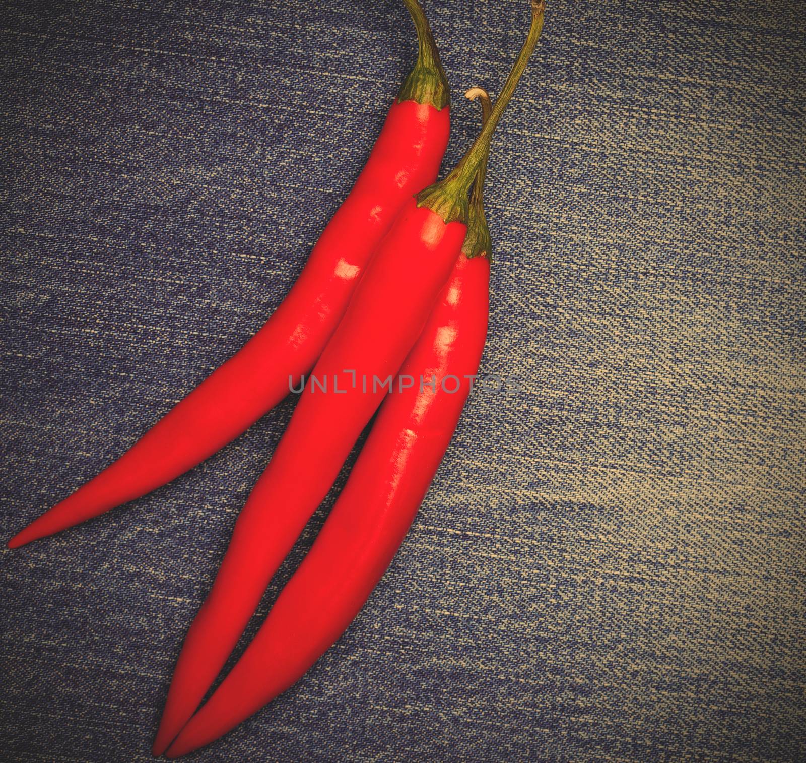 red hot chili pepper on jeans background. instagram image style