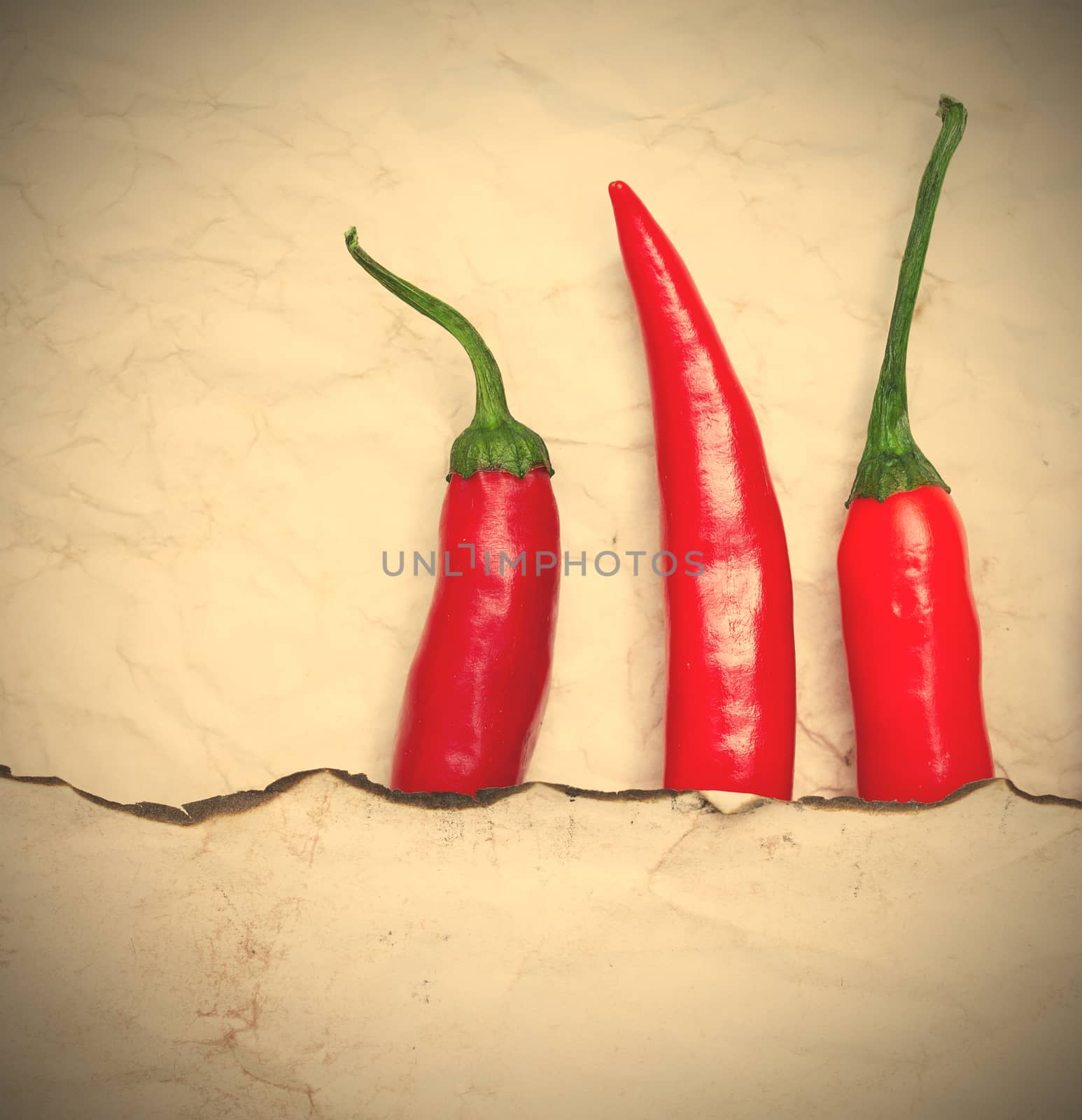 red hot chili peppers by Astroid