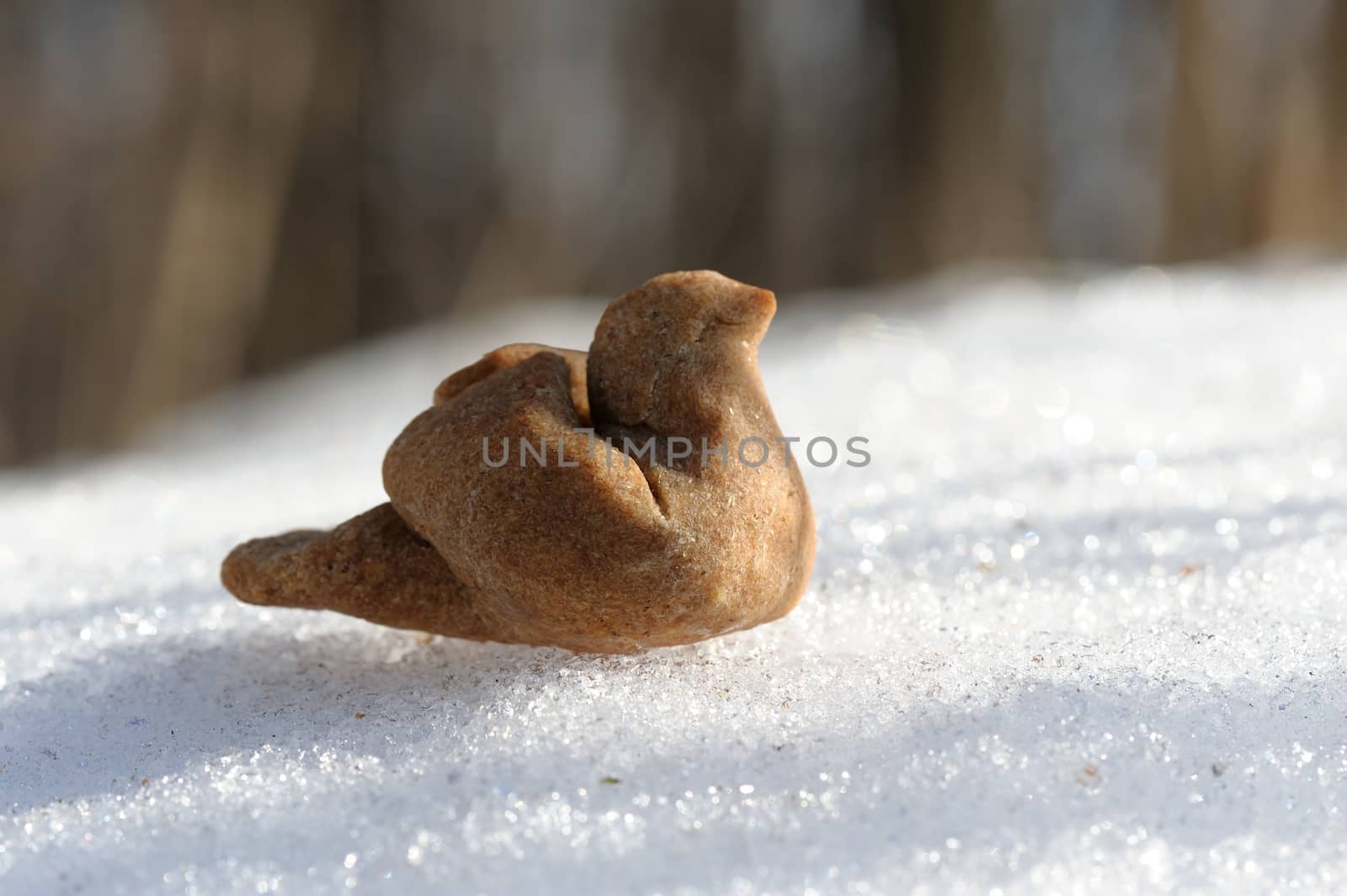 Zhavoronki, Russian rye cookies for spring equinox selebration on snow surface horizontal