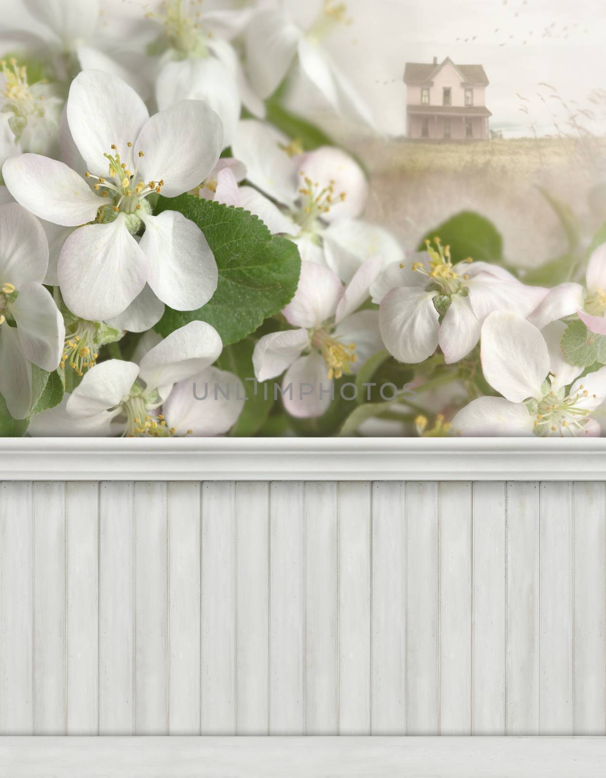  Spring wall background/backdrop by Sandralise