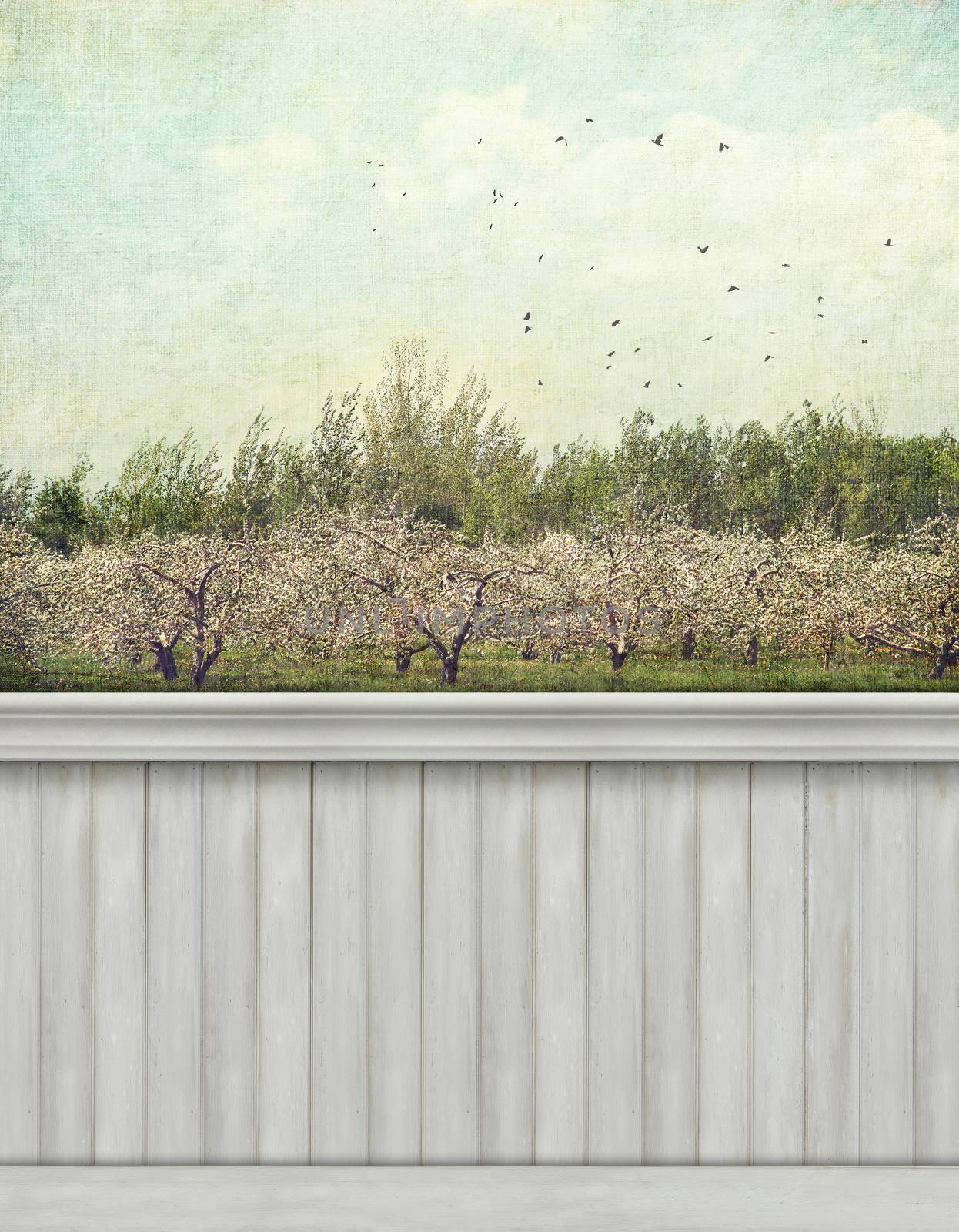  Spring wall background/backdrop by Sandralise