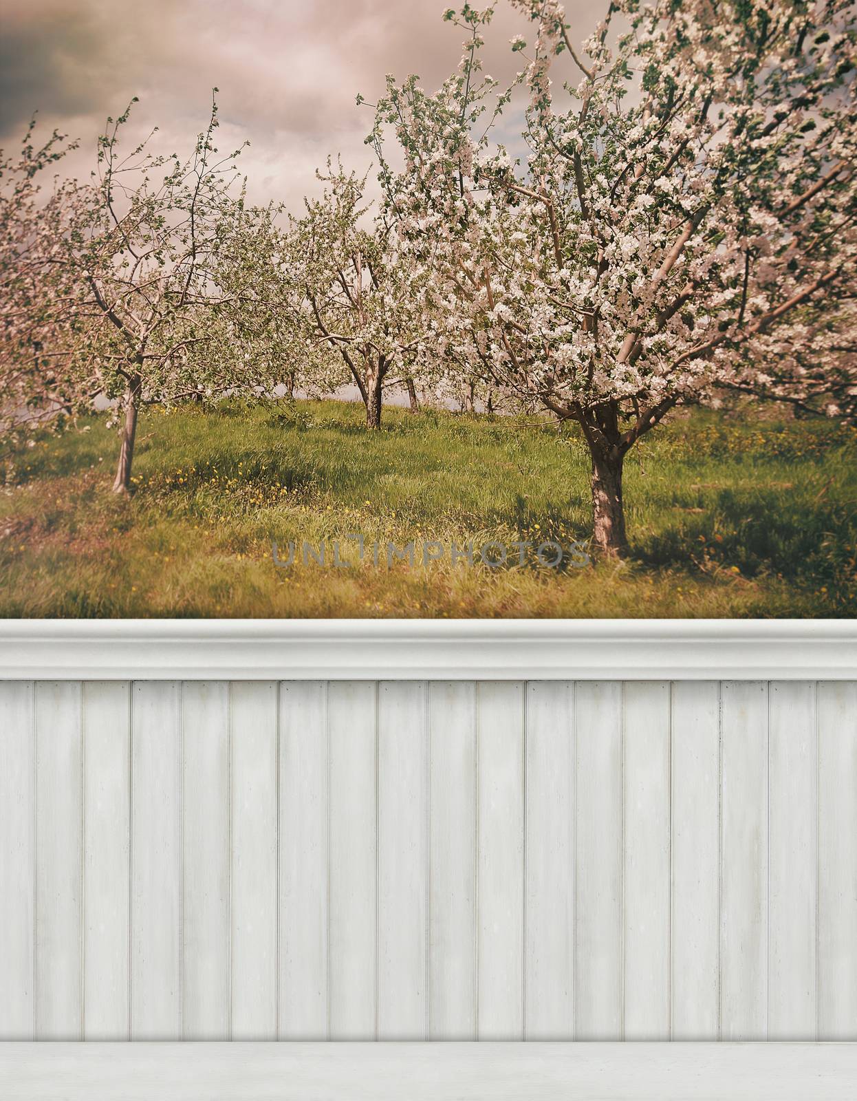 Spring wall background/backdrop by Sandralise