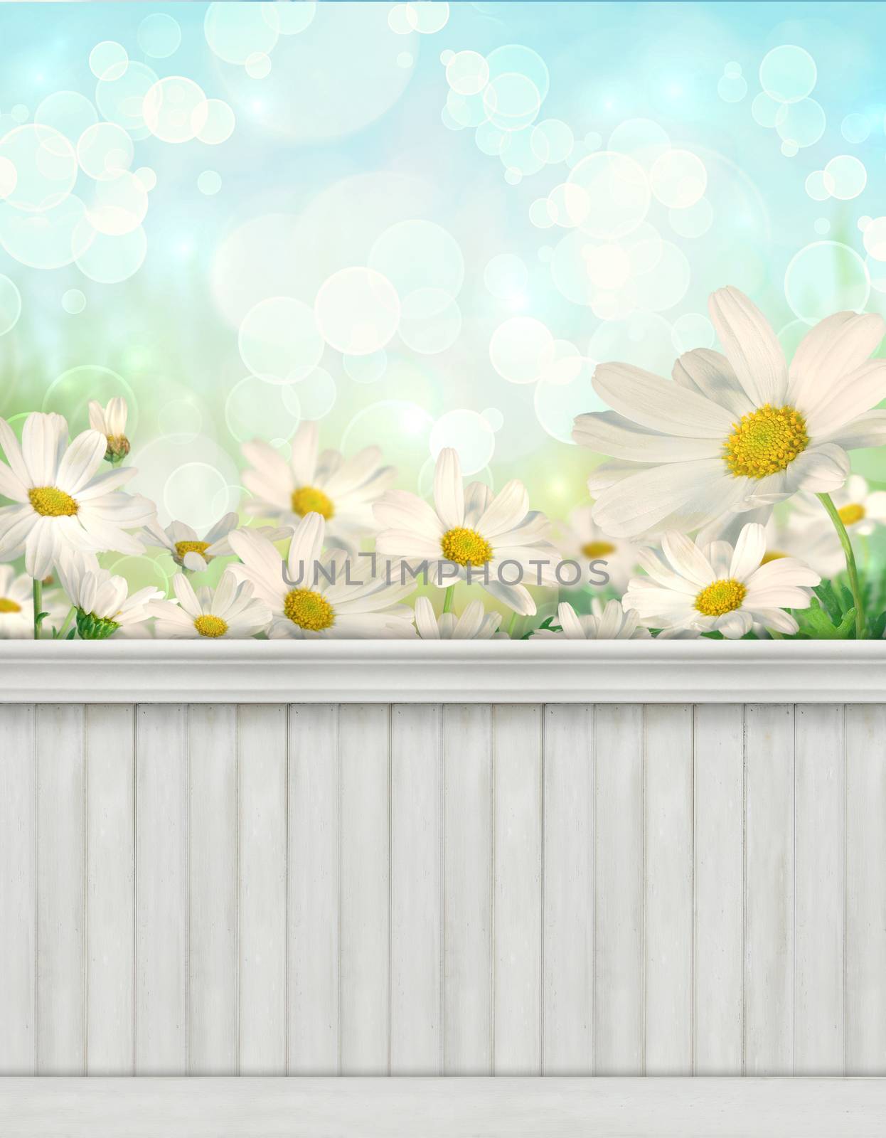  Spring wall background/backdrop by Sandralise