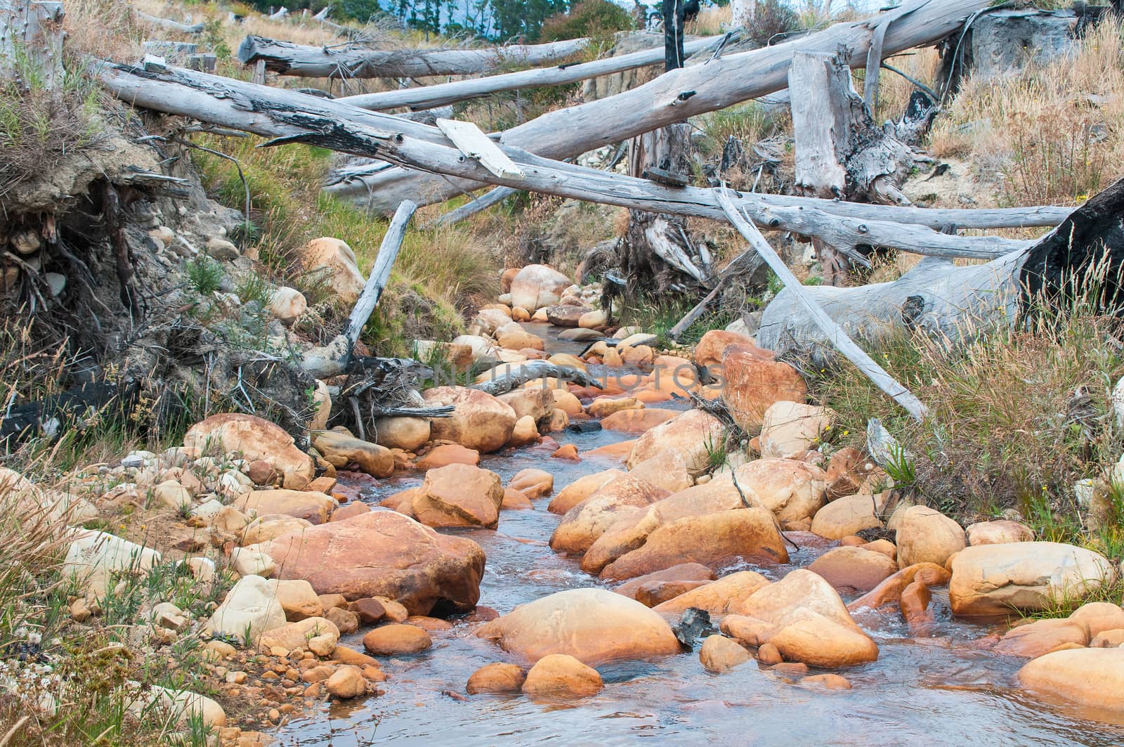 Water stream with logs near Sir Lowrys Pass  in the Western Cape Province of South Africa
