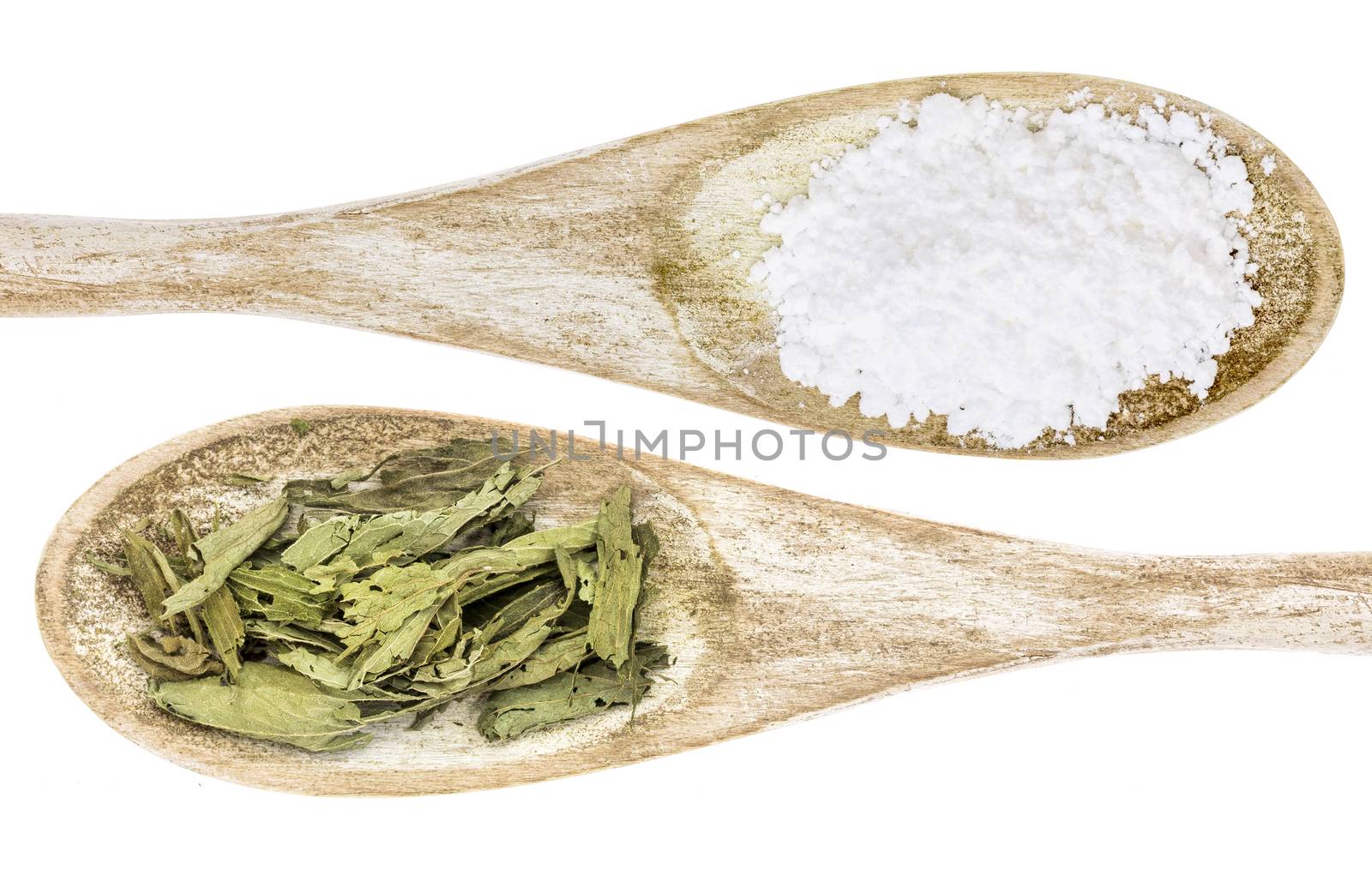 healthy and unhealthy sweetener concept - isolated wooden spoons of white cane sugar and stevia leaf