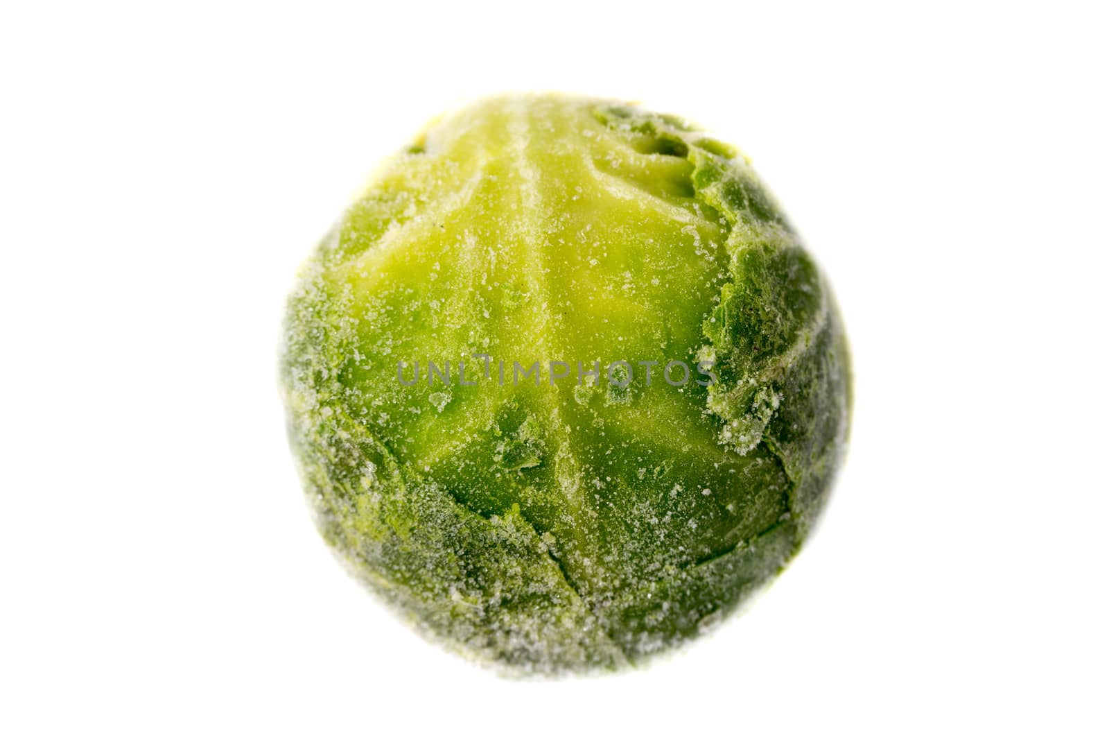 Picture of a single frozen green sprout