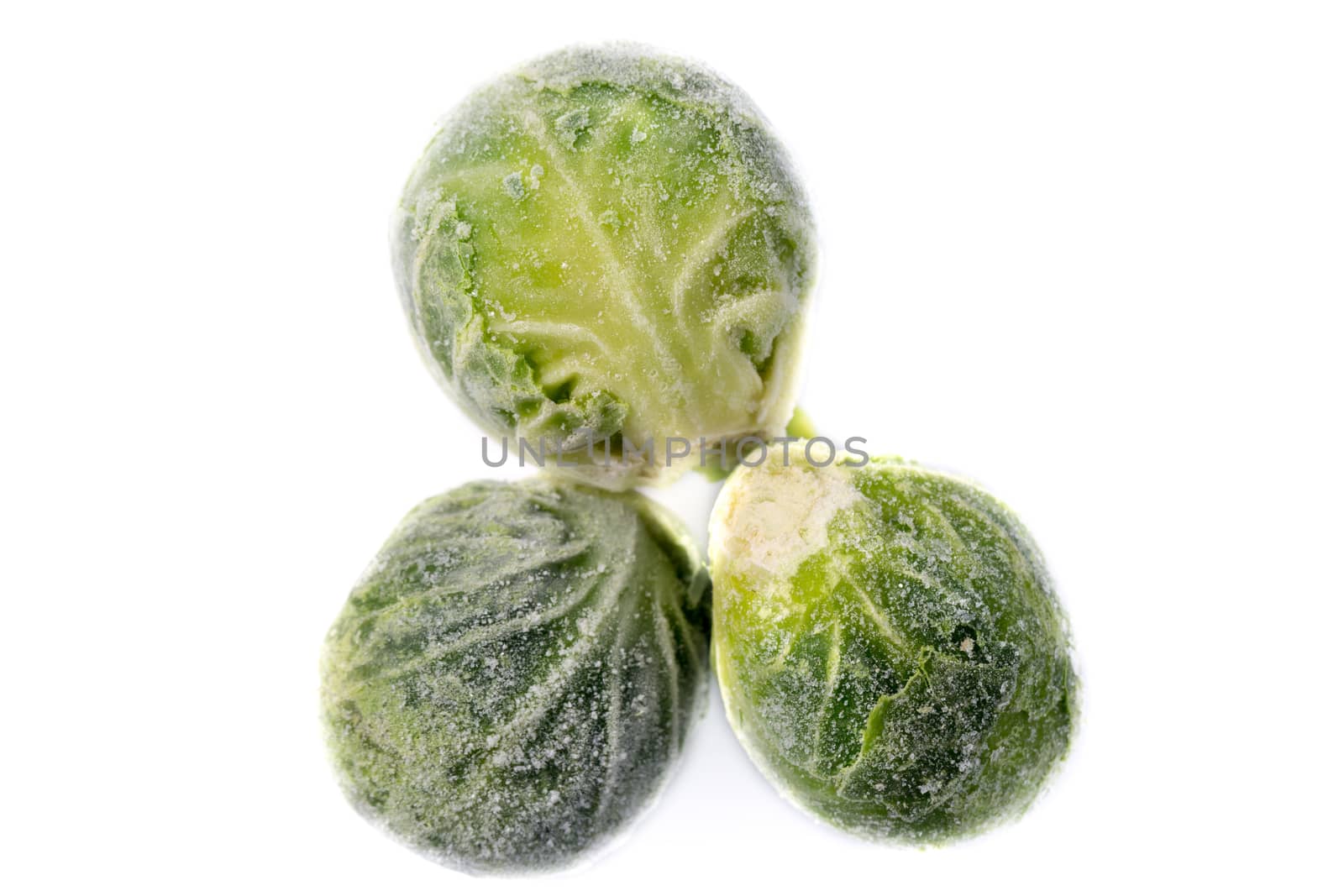 Picture of three single frozen green sprouts