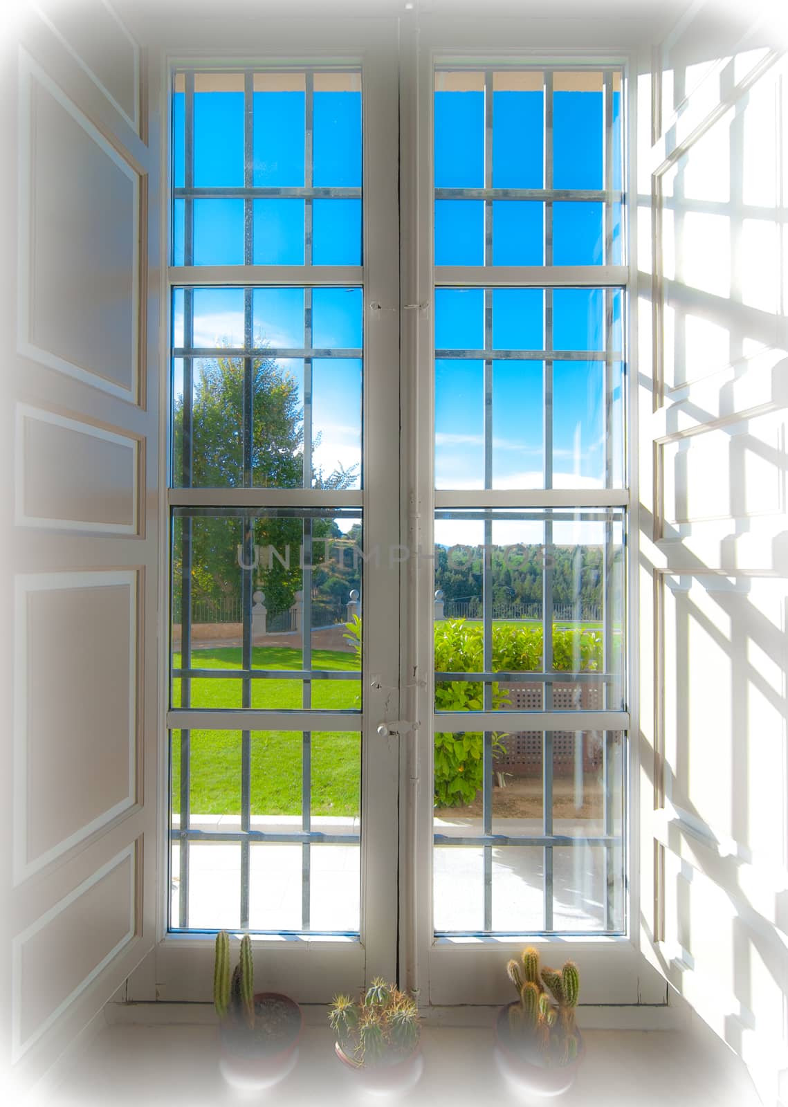 Looking through a window out into the sunny day.