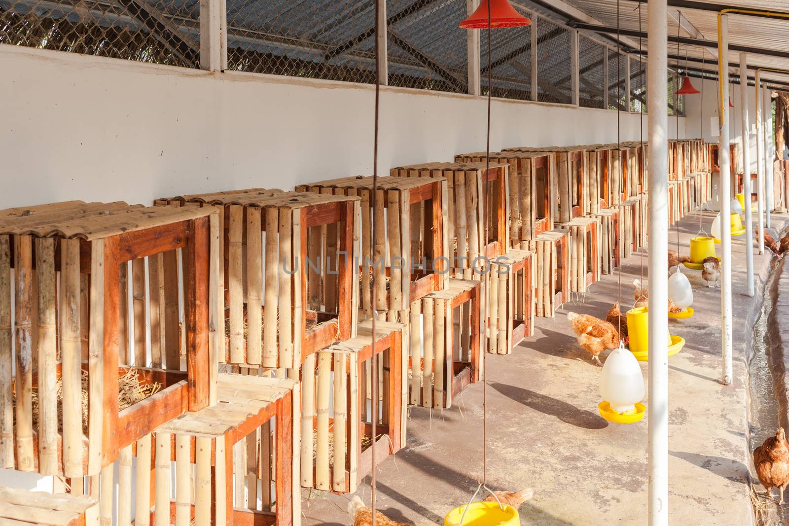 henhouse farmyard, hanged on wall for chicken hatch by FrameAngel