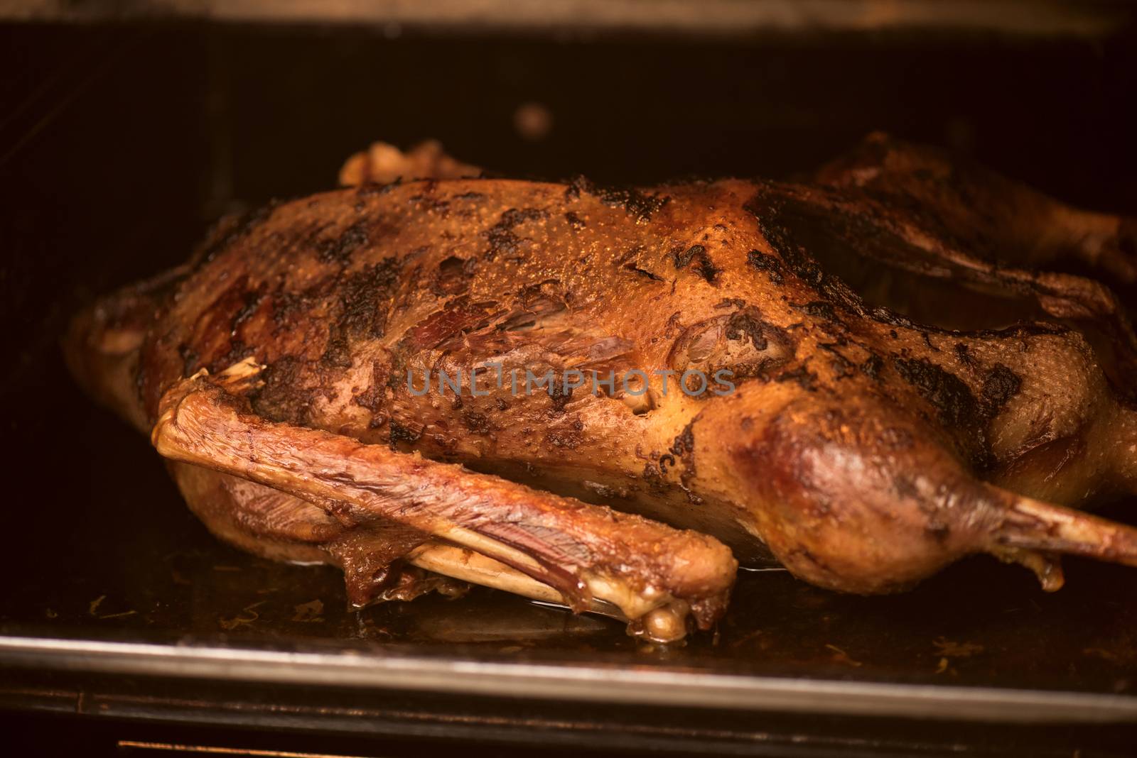 roasted goose still in the oven light by the oven lamp 