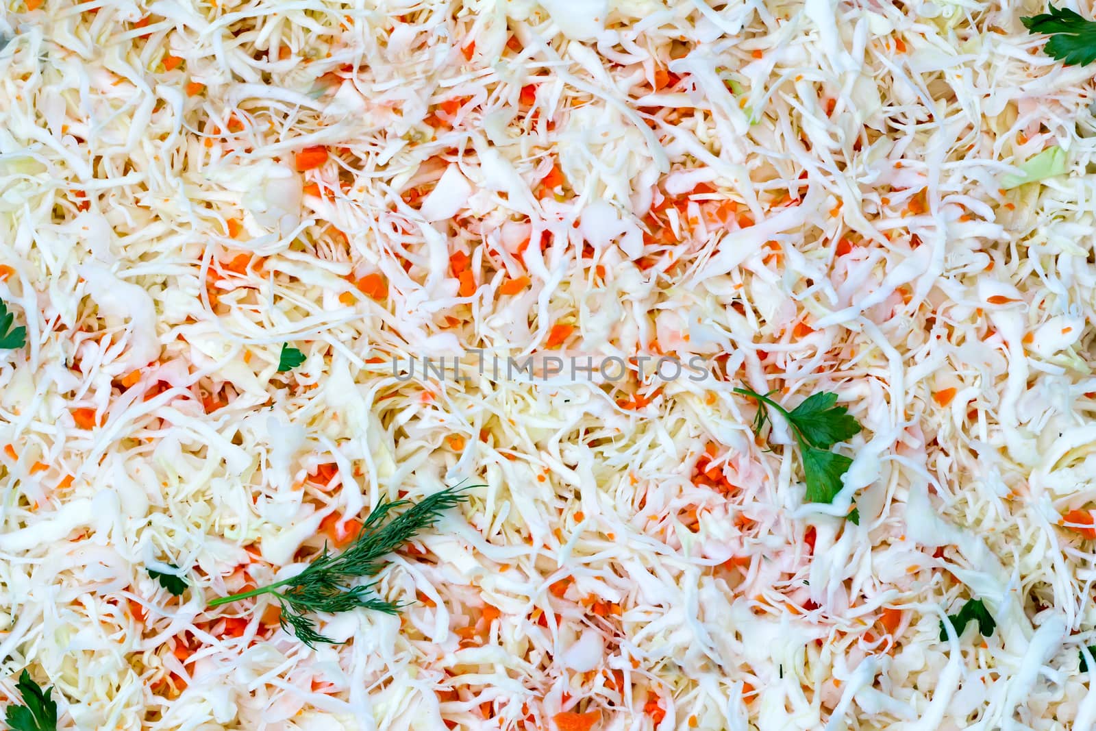 A delicious salad of fresh cabbage and carrots, garnished with fresh herbs. View from the top.