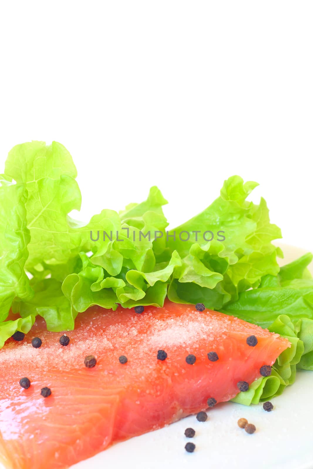 Salmon raw salted fillet isolated on white background